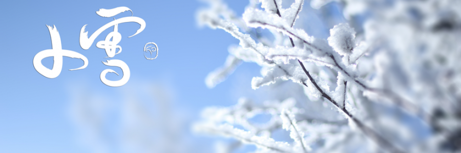 小雪丨雪落天地寒，愿君多珍重