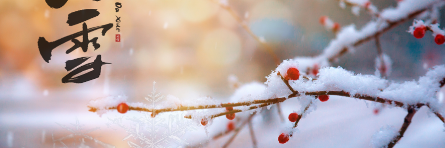 大雪丨 養(yǎng)陰護(hù)陽，君心不忘