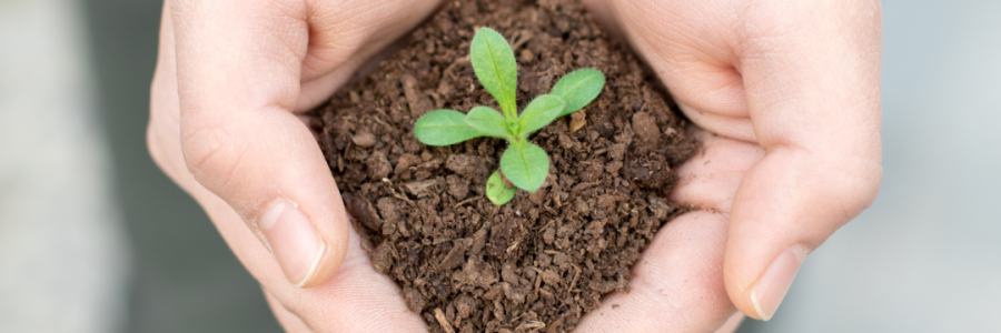 火運不及的癸卯年，亟需補火護陽！