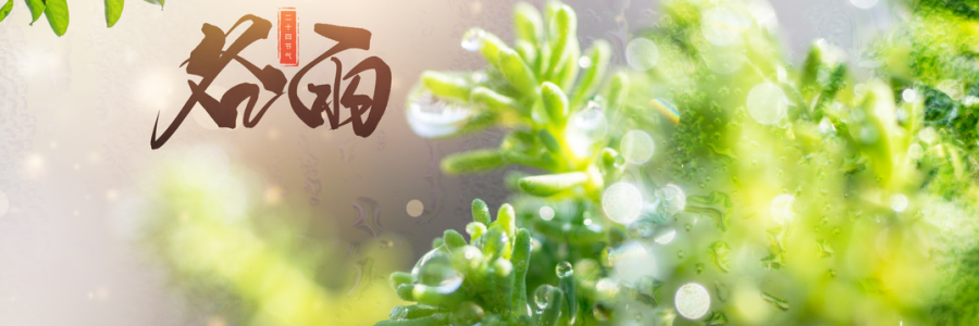 谷雨丨雨生百谷，人間向暖