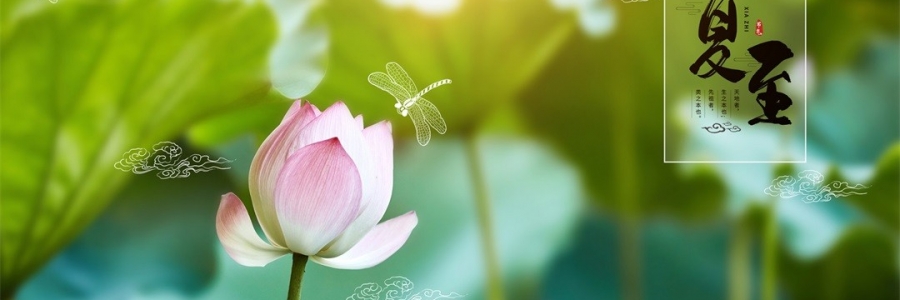 夏至 | 陽極陰生，美好日長