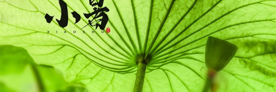 小暑 | 暑熱如歌，心靜生涼