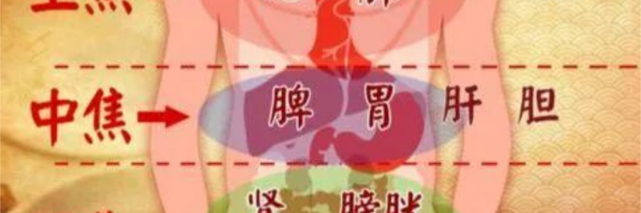 突破600億播放量的《羅剎海市》，竟然還暗藏中醫(yī)奧秘？