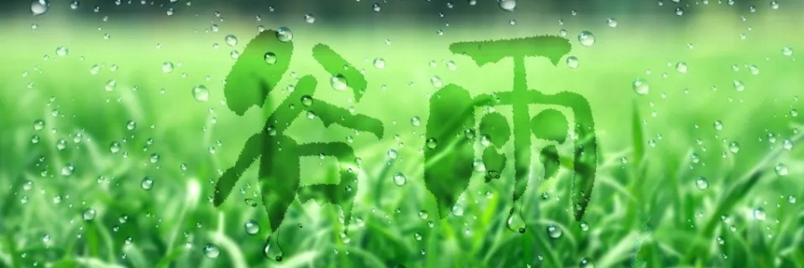 谷雨丨健脾祛濕，安然迎夏