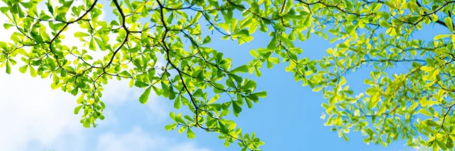 警告：夏天千萬不能做的5件事！快來看看~