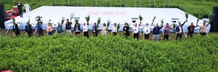 大事記丨“千年弦歌·仡佬醫(yī)藥”務(wù)川仡佬艾草文化節(jié)圓滿成功