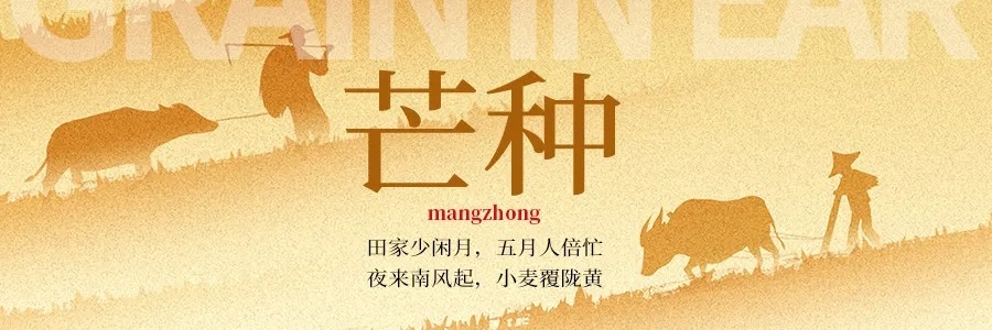 芒種丨“芒”有所獲，“種”有所得