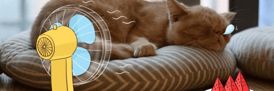 越睡越困的夏天，一個(gè)穴位趕走疲倦……