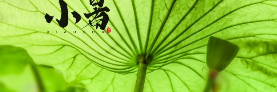 小暑丨避暑養(yǎng)心，準(zhǔn)備入伏