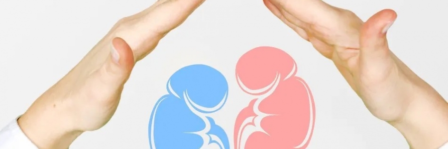 兩個(gè)人體的“長壽穴”，每天揉一揉，健康又長壽