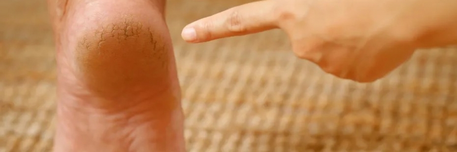 每天跺跺腳，從腳養(yǎng)到頭，越跺越年輕！