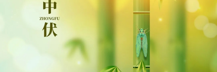 三伏灸丨破三冰，泄三濁，清五毒，祛六淫！