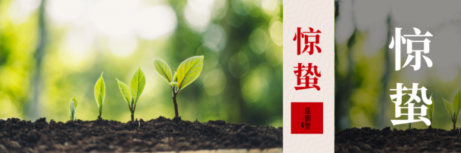 驚蟄 | 驚起春潮，蟄動萬物