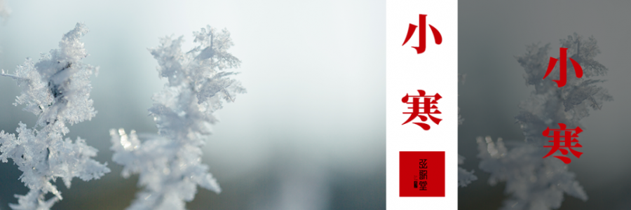 小寒 | 冰封至，寒極陽生